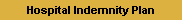 Hospital Indemnity Plan